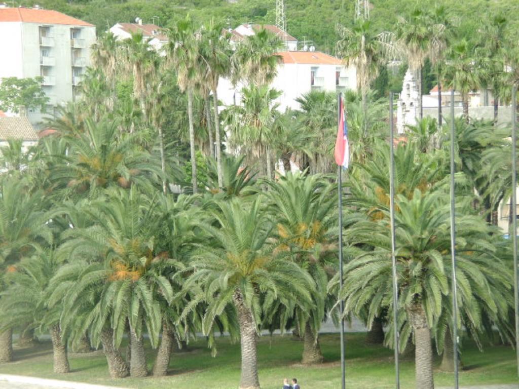 Apartments Rak Vis Buitenkant foto